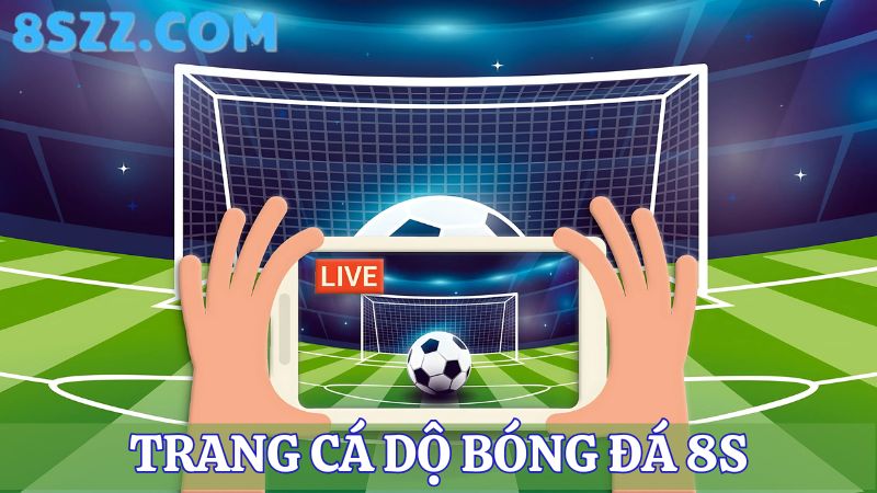  trang cá độ bóng đá 8s 