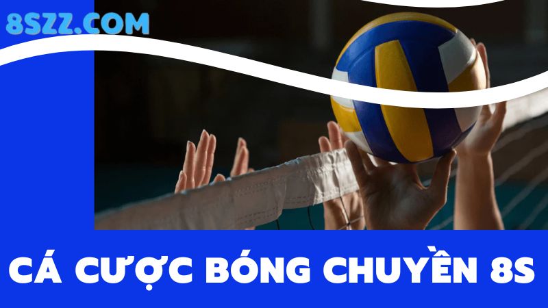 cá cược bóng chuyền 8s 