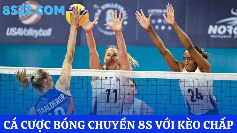 cá cược bóng chuyền 8s kèo chấp 