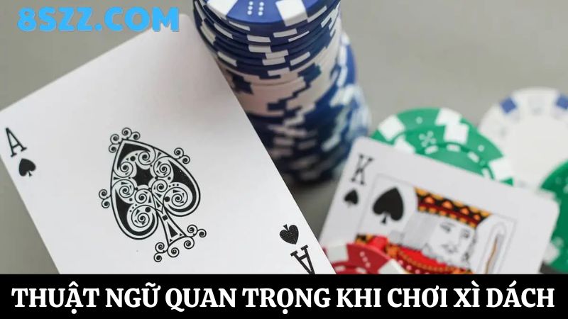 thuật ngữ Xì dách online 8s