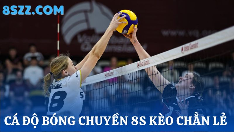 cá cược bóng chuyền 8s chẵn lẻ  