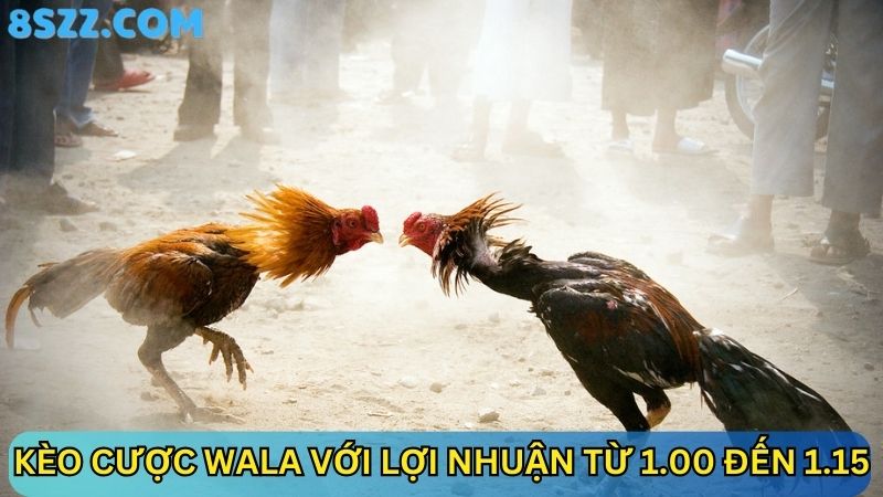 đá gà online 8s Kèo cược Wala