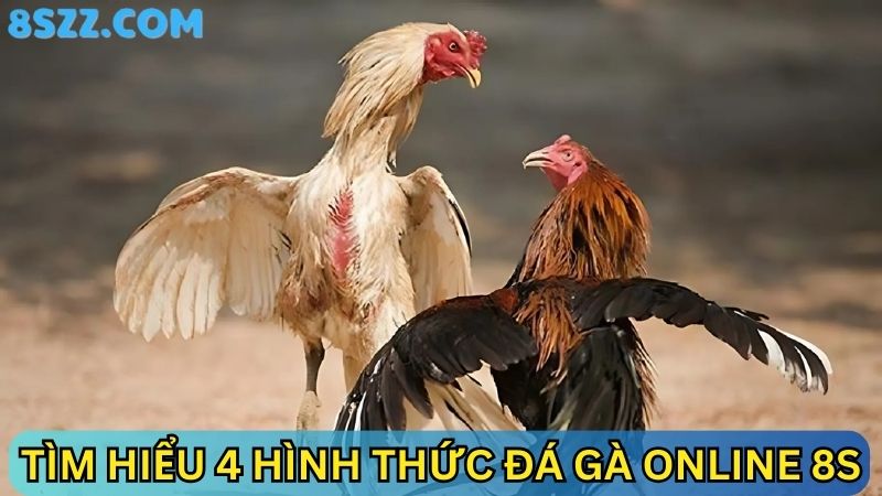 hình thức đá gà online 8s